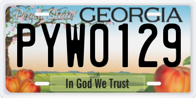 GA license plate PYW0129