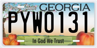 GA license plate PYW0131