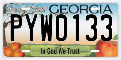 GA license plate PYW0133