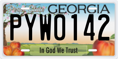 GA license plate PYW0142