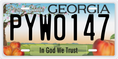 GA license plate PYW0147