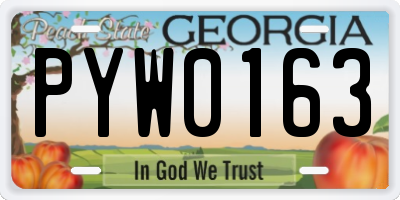 GA license plate PYW0163
