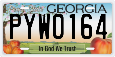 GA license plate PYW0164