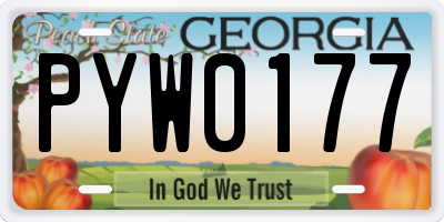 GA license plate PYW0177