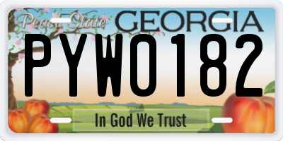 GA license plate PYW0182