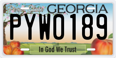 GA license plate PYW0189