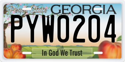 GA license plate PYW0204
