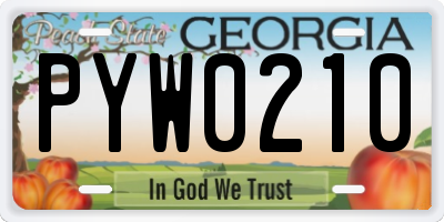 GA license plate PYW0210