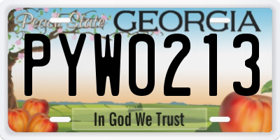 GA license plate PYW0213