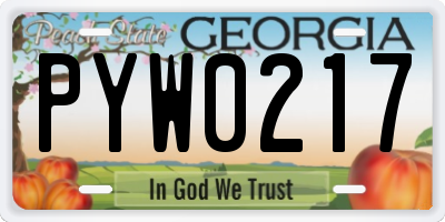 GA license plate PYW0217