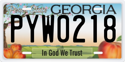 GA license plate PYW0218