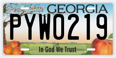 GA license plate PYW0219