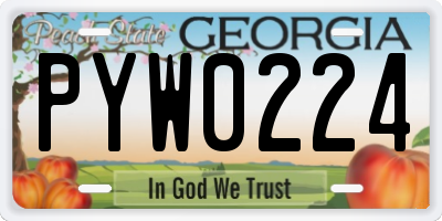 GA license plate PYW0224