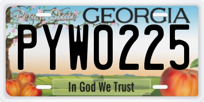 GA license plate PYW0225