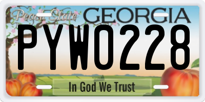 GA license plate PYW0228