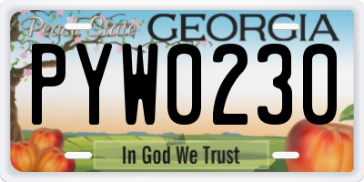 GA license plate PYW0230