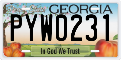 GA license plate PYW0231