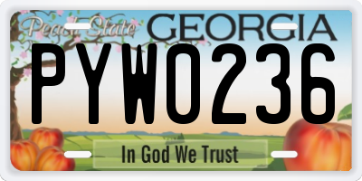 GA license plate PYW0236
