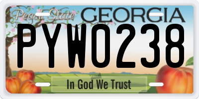 GA license plate PYW0238