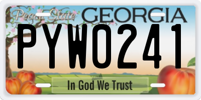 GA license plate PYW0241