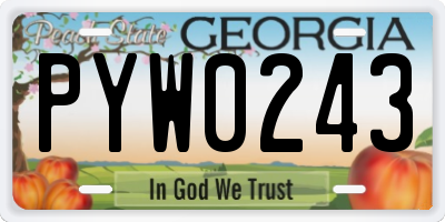 GA license plate PYW0243