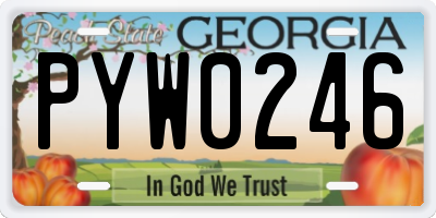 GA license plate PYW0246