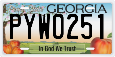 GA license plate PYW0251