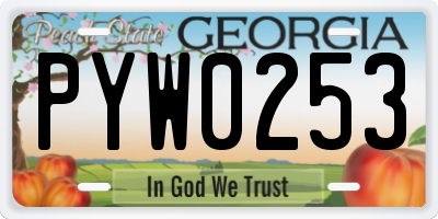 GA license plate PYW0253