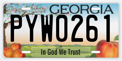 GA license plate PYW0261