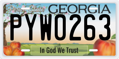GA license plate PYW0263