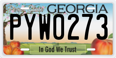 GA license plate PYW0273