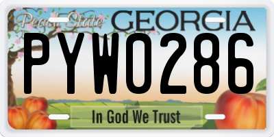 GA license plate PYW0286