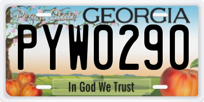 GA license plate PYW0290