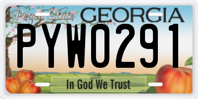 GA license plate PYW0291
