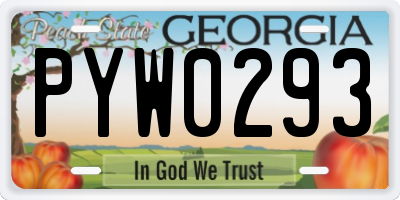 GA license plate PYW0293
