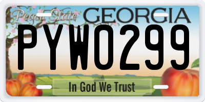 GA license plate PYW0299