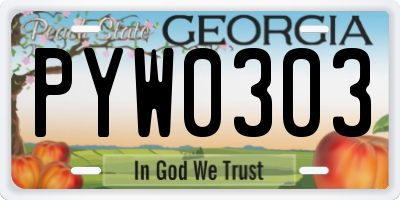 GA license plate PYW0303