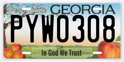 GA license plate PYW0308