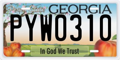 GA license plate PYW0310