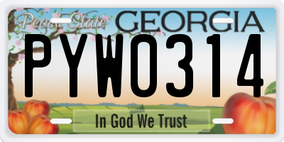 GA license plate PYW0314