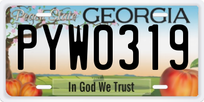 GA license plate PYW0319
