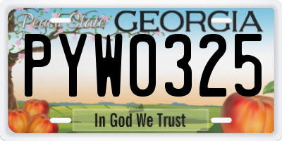 GA license plate PYW0325