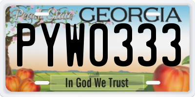 GA license plate PYW0333