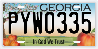 GA license plate PYW0335