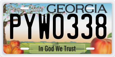 GA license plate PYW0338