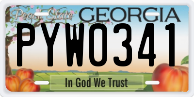 GA license plate PYW0341