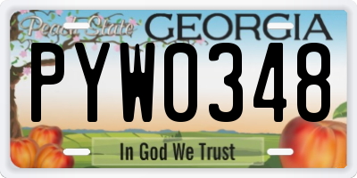 GA license plate PYW0348