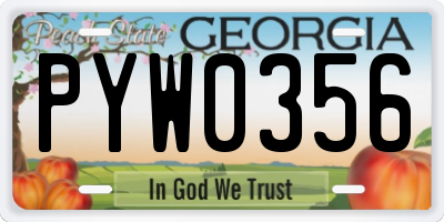 GA license plate PYW0356