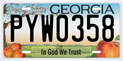 GA license plate PYW0358