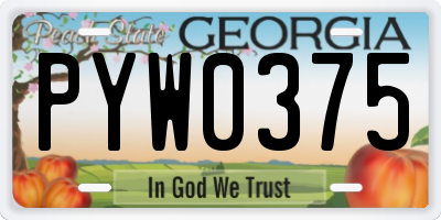 GA license plate PYW0375